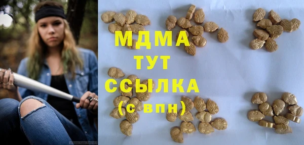ГАЛЛЮЦИНОГЕННЫЕ ГРИБЫ Аркадак