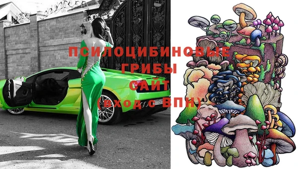 спайс Арсеньев