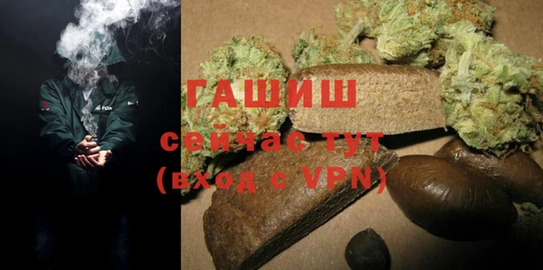 амф Новозыбков