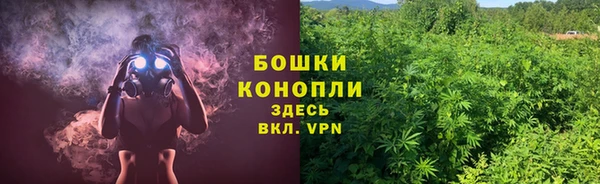 ГАЛЛЮЦИНОГЕННЫЕ ГРИБЫ Аркадак