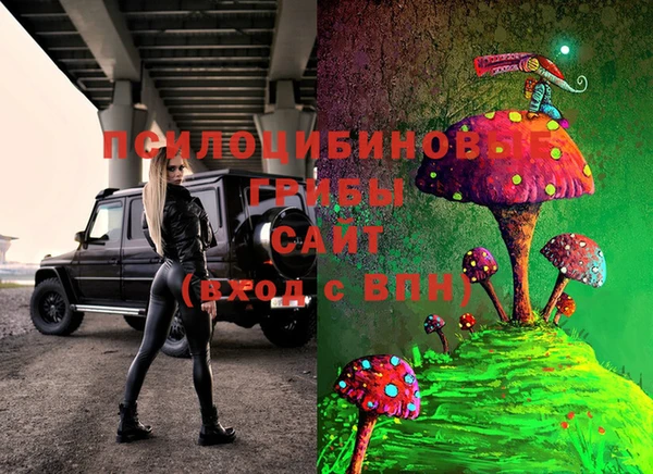 ГАЛЛЮЦИНОГЕННЫЕ ГРИБЫ Аркадак