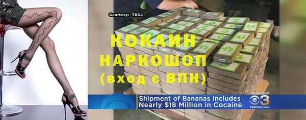 амф Новозыбков